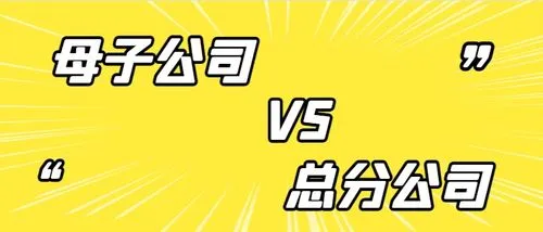 分公司與子公司的區(qū)別？